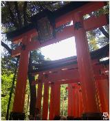 Fushimi_Inari-taisha-shrine2