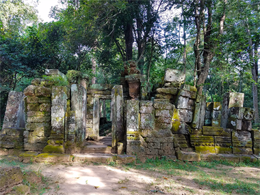 Cambodia- overgrown temple