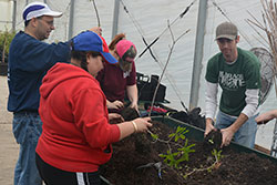 Texas A&M Law Big Event faculty and staff volunteers at Rolling Hills Tree Farm