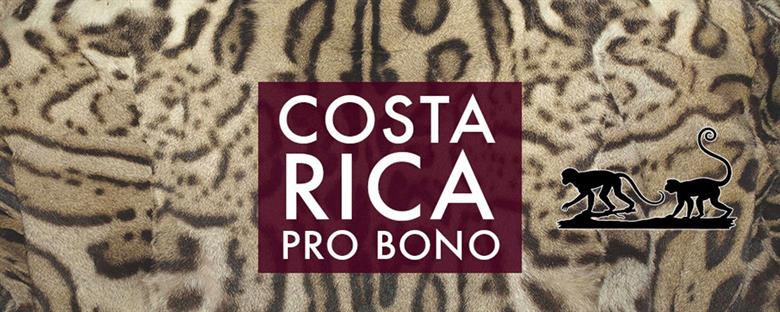 Costa Rica banner
