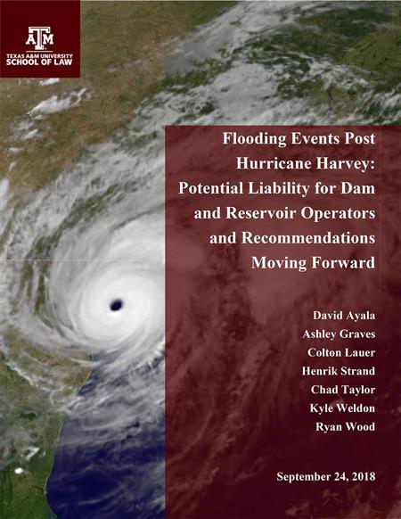 Flooding Liability Report cover